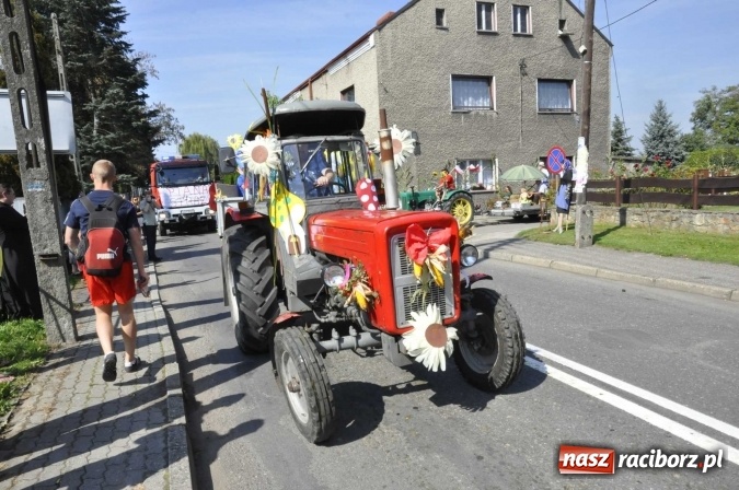 Zdjęcie w galerii na portalu naszraciborz.pl: Dożynki Powiatowe 2016. KORNOWAC - mała gmina z długim korowodem wiadomości z regionu