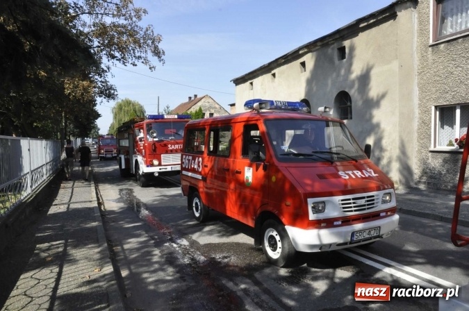 Zdjęcie w galerii na portalu naszraciborz.pl: Dożynki Powiatowe 2016. KORNOWAC - mała gmina z długim korowodem wiadomości z regionu