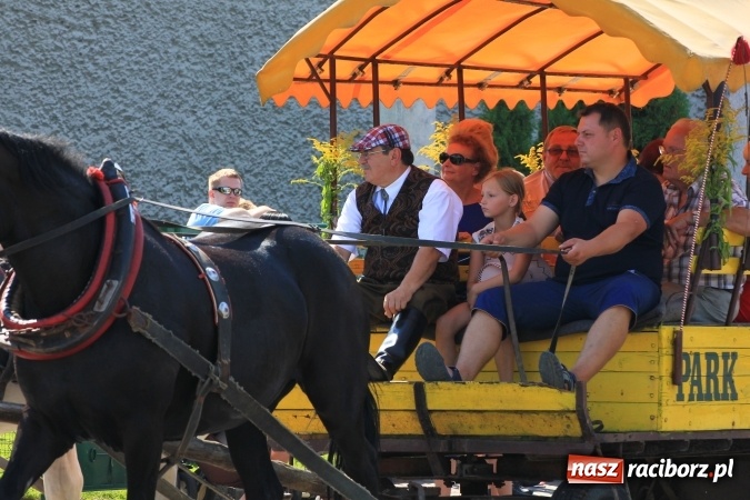 Zdjęcie w galerii na portalu naszraciborz.pl: Dożynki 2016. Tak się bawi Lubomia! wiadomości z regionu