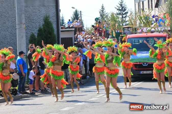 Zdjęcie w galerii na portalu naszraciborz.pl: Dożynki 2016. Tak się bawi Lubomia! wiadomości z regionu