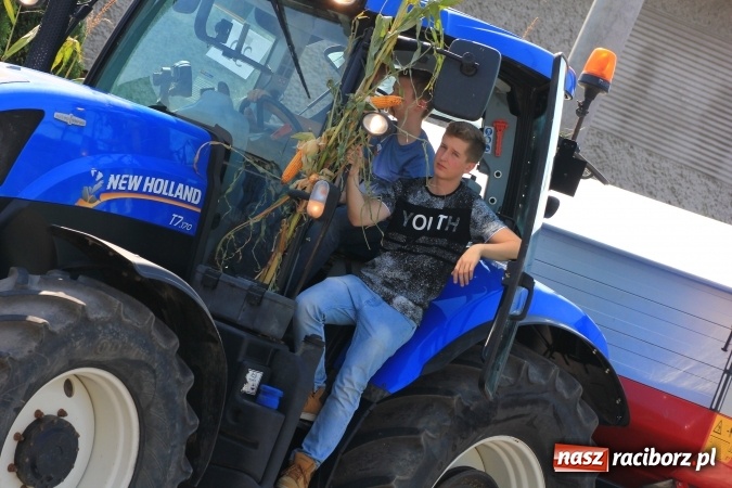 Zdjęcie w galerii na portalu naszraciborz.pl: Dożynki 2016. Tak się bawi Lubomia! wiadomości z regionu