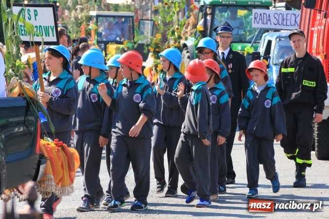 Zdjęcie w galerii na portalu naszraciborz.pl: Dożynki 2016. Tak się bawi Lubomia! wiadomości z regionu