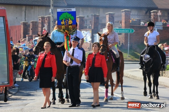 Zdjęcie w galerii na portalu naszraciborz.pl: Dożynki 2016. Tak się bawi Lubomia! wiadomości z regionu