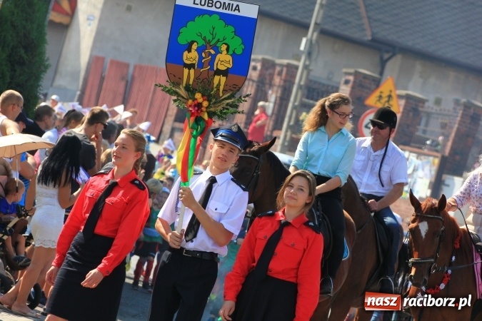 Zdjęcie w galerii na portalu naszraciborz.pl: Dożynki 2016. Tak się bawi Lubomia! wiadomości z regionu