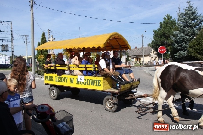 Zdjęcie w galerii na portalu naszraciborz.pl: Dożynki 2016. Tak się bawi Lubomia! wiadomości z regionu