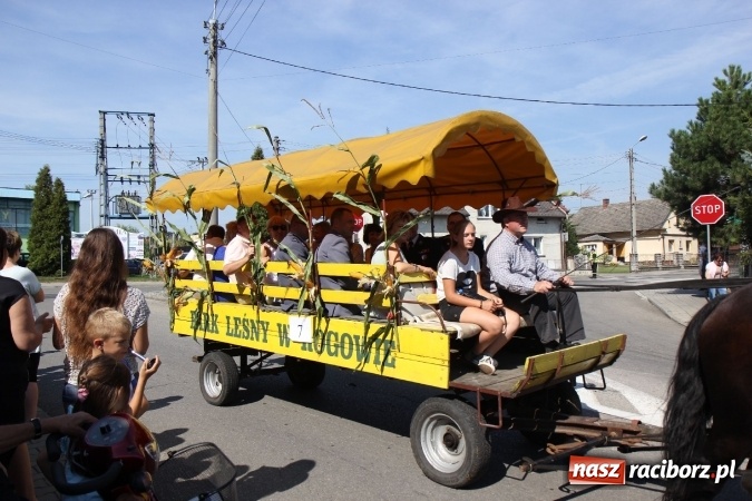 Zdjęcie w galerii na portalu naszraciborz.pl: Dożynki 2016. Tak się bawi Lubomia! wiadomości z regionu