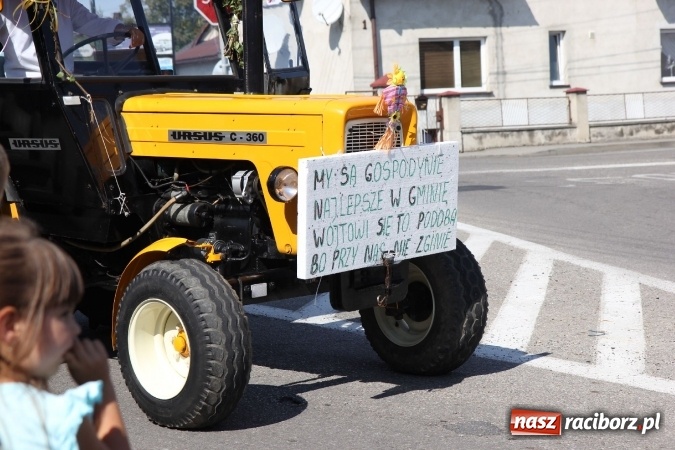 Zdjęcie w galerii na portalu naszraciborz.pl: Dożynki 2016. Tak się bawi Lubomia! wiadomości z regionu