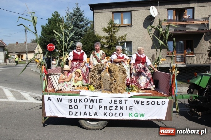 Zdjęcie w galerii na portalu naszraciborz.pl: Dożynki 2016. Tak się bawi Lubomia! wiadomości z regionu
