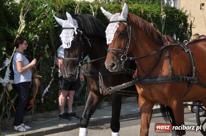 Zdjęcie w galerii na portalu naszraciborz.pl: Dożynki 2016 w Borucinie. Żniwa lepsze niż poprzednie... wiadomości z regionu