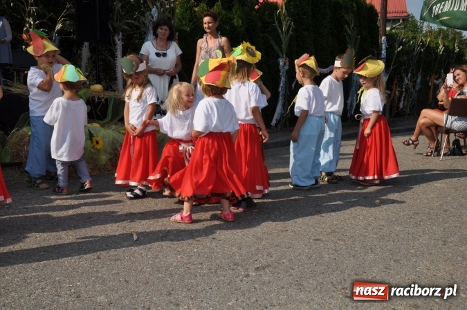 Zdjęcie w galerii na portalu naszraciborz.pl: Dożynki 2016 w Borucinie. Żniwa lepsze niż poprzednie... wiadomości z regionu
