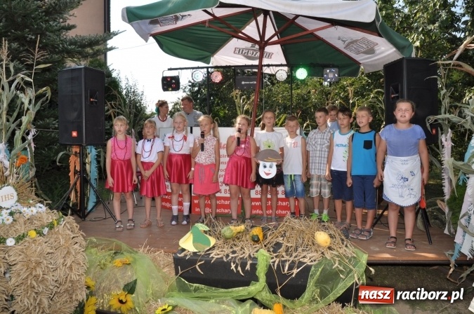 Zdjęcie w galerii na portalu naszraciborz.pl: Dożynki 2016 w Borucinie. Żniwa lepsze niż poprzednie... wiadomości z regionu