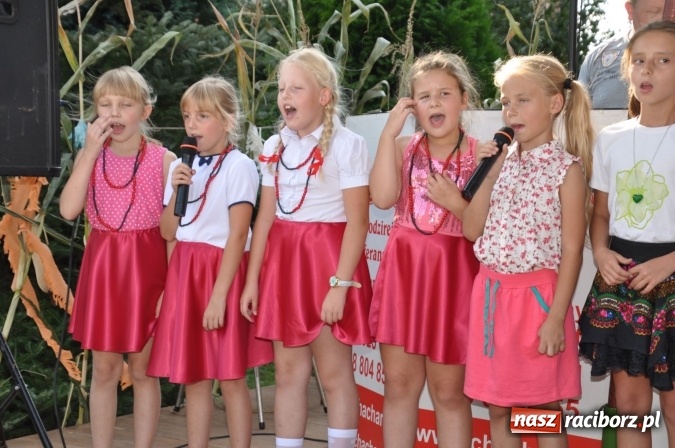 Zdjęcie w galerii na portalu naszraciborz.pl: Dożynki 2016 w Borucinie. Żniwa lepsze niż poprzednie... wiadomości z regionu