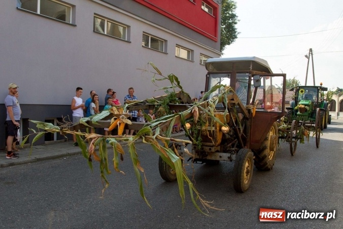 Zdjęcie w galerii na portalu naszraciborz.pl: Dożynki 2016. W Krzanowicach nie odpuścili i dożynki zrobili. W kolorowym korowodzie piękne dziewczęta i drogie maszyny wiadomości z regionu