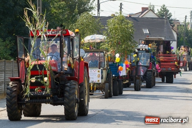 Zdjęcie w galerii na portalu naszraciborz.pl: Dożynki 2016. W Krzanowicach nie odpuścili i dożynki zrobili. W kolorowym korowodzie piękne dziewczęta i drogie maszyny wiadomości z regionu