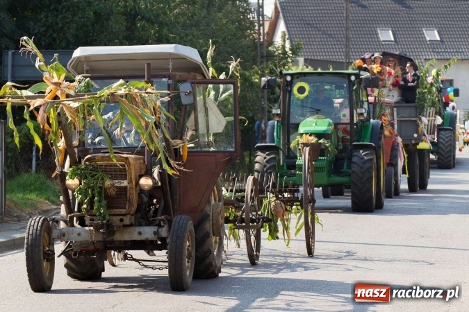 Zdjęcie w galerii na portalu naszraciborz.pl: Dożynki 2016. W Krzanowicach nie odpuścili i dożynki zrobili. W kolorowym korowodzie piękne dziewczęta i drogie maszyny wiadomości z regionu