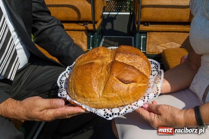 Zdjęcie w galerii na portalu naszraciborz.pl: Dożynki 2016. W samborowickim SPA masuje sam sołtys  wiadomości z regionu