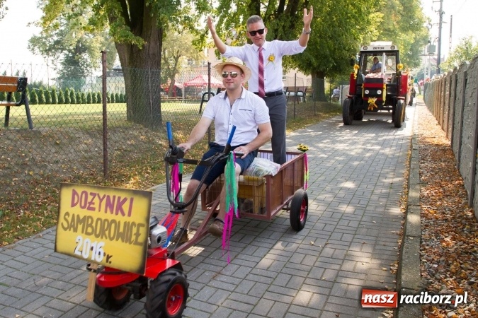Zdjęcie w galerii na portalu naszraciborz.pl: Dożynki 2016. W samborowickim SPA masuje sam sołtys  wiadomości z regionu