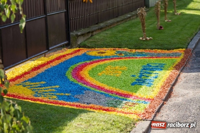 Zdjęcie w galerii na portalu naszraciborz.pl: Dożynki 2016. W samborowickim SPA masuje sam sołtys  wiadomości z regionu
