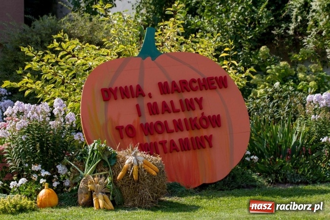 Zdjęcie w galerii na portalu naszraciborz.pl: Dożynki 2016. W samborowickim SPA masuje sam sołtys  wiadomości z regionu