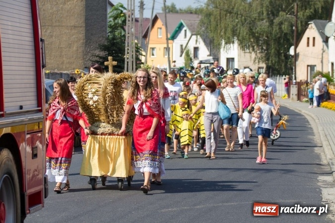 Zdjęcie w galerii na portalu naszraciborz.pl: Dożynki 2016. W samborowickim SPA masuje sam sołtys  wiadomości z regionu