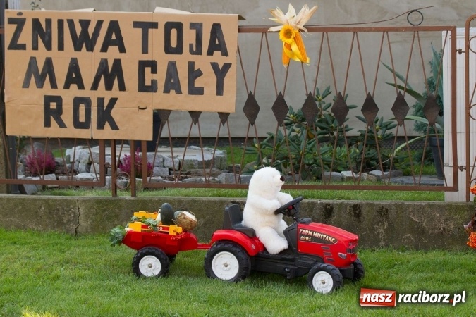 Zdjęcie w galerii na portalu naszraciborz.pl: Dożynki 2016. W samborowickim SPA masuje sam sołtys  wiadomości z regionu