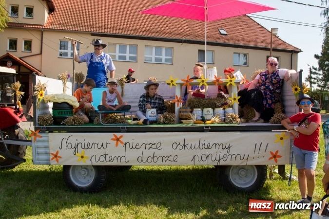 Zdjęcie w galerii na portalu naszraciborz.pl: Dożynki 2016. W samborowickim SPA masuje sam sołtys  wiadomości z regionu