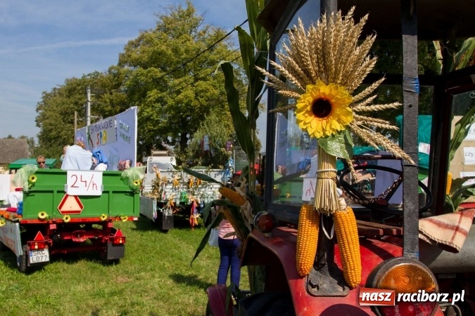 Zdjęcie w galerii na portalu naszraciborz.pl: Dożynki 2016. W samborowickim SPA masuje sam sołtys  wiadomości z regionu