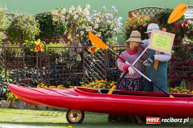 Zdjęcie w galerii na portalu naszraciborz.pl: Dożynki 2016. W samborowickim SPA masuje sam sołtys  wiadomości z regionu