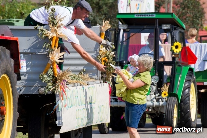 Zdjęcie w galerii na portalu naszraciborz.pl: Dożynki 2016. W samborowickim SPA masuje sam sołtys  wiadomości z regionu