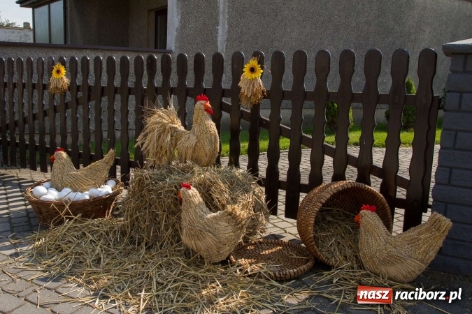 Zdjęcie w galerii na portalu naszraciborz.pl: Dożynki 2016. W samborowickim SPA masuje sam sołtys  wiadomości z regionu