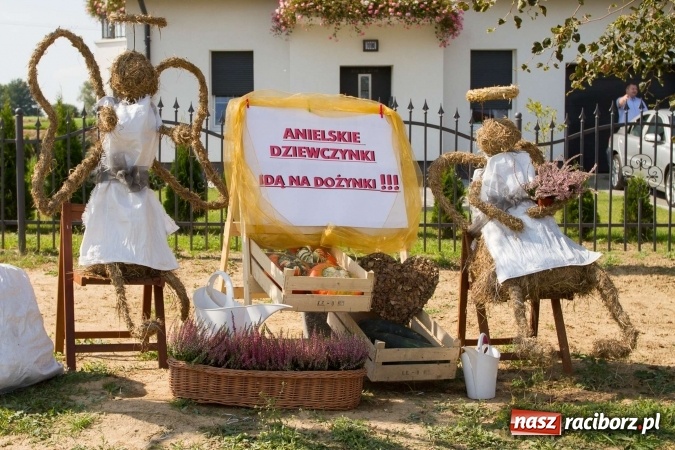 Zdjęcie w galerii na portalu naszraciborz.pl: Dożynki 2016. W samborowickim SPA masuje sam sołtys  wiadomości z regionu