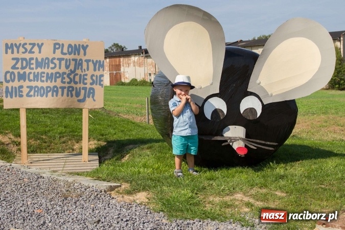 Zdjęcie w galerii na portalu naszraciborz.pl: Dożynki 2016. W samborowickim SPA masuje sam sołtys  wiadomości z regionu