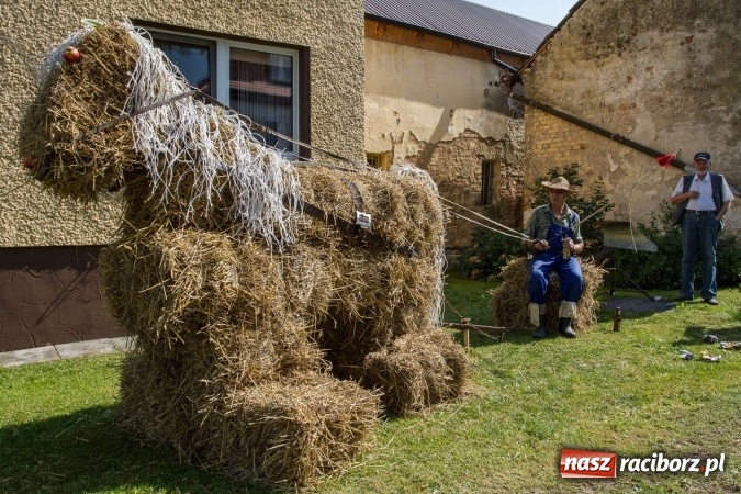 Zdjęcie w galerii na portalu naszraciborz.pl: Dożynki 2016. W samborowickim SPA masuje sam sołtys  wiadomości z regionu