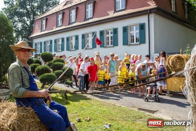 Zdjęcie w galerii na portalu naszraciborz.pl: Dożynki 2016. W samborowickim SPA masuje sam sołtys  wiadomości z regionu