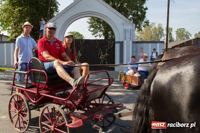 Zdjęcie w galerii na portalu naszraciborz.pl: Dożynki 2016. W samborowickim SPA masuje sam sołtys  wiadomości z regionu