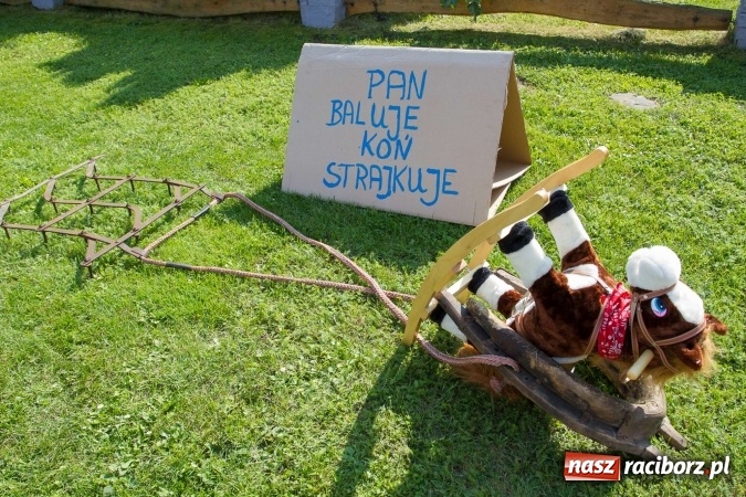 Zdjęcie w galerii na portalu naszraciborz.pl: Dożynki 2016. W samborowickim SPA masuje sam sołtys  wiadomości z regionu