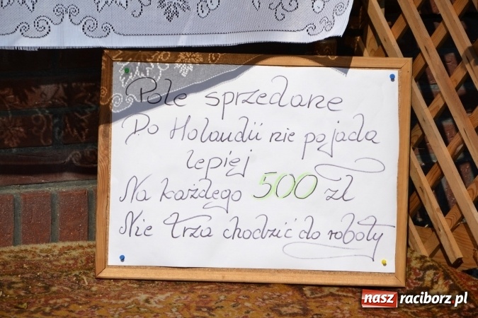 Zdjęcie w galerii na portalu naszraciborz.pl: Dożynki 2016. W Bieńkowicach dziękowali za plony  wiadomości z regionu