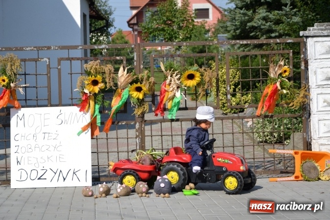 Zdjęcie w galerii na portalu naszraciborz.pl: Dożynki 2016. W Bieńkowicach dziękowali za plony  wiadomości z regionu