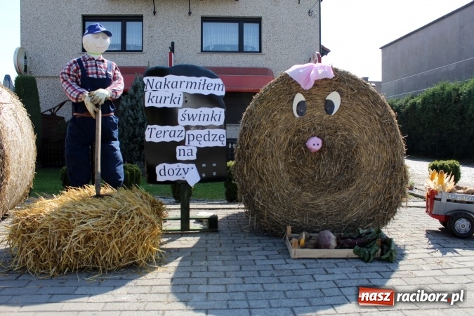 Zdjęcie w galerii na portalu naszraciborz.pl: Dożynki 2016. Korowód gigant w Kornowacu  wiadomości z regionu