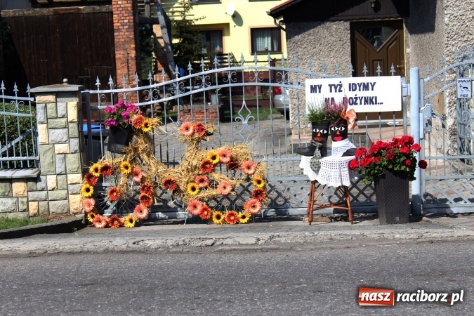 Zdjęcie w galerii na portalu naszraciborz.pl: Dożynki 2016. Korowód gigant w Kornowacu  wiadomości z regionu