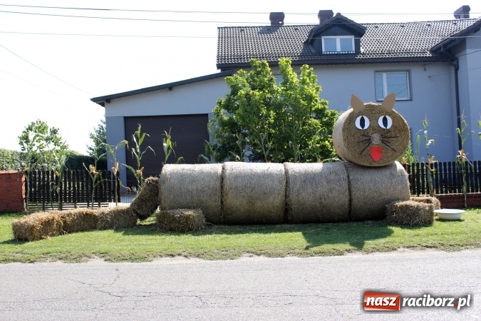 Zdjęcie w galerii na portalu naszraciborz.pl: Dożynki 2016. Korowód gigant w Kornowacu  wiadomości z regionu