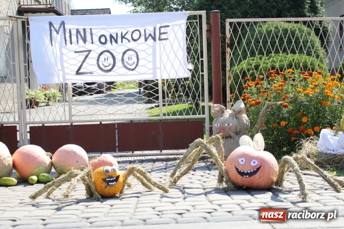 Zdjęcie w galerii na portalu naszraciborz.pl: Dożynki 2016. Korowód gigant w Kornowacu  wiadomości z regionu