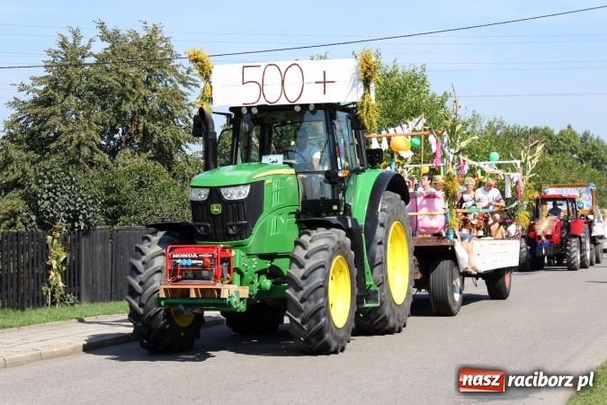 Zdjęcie w galerii na portalu naszraciborz.pl: Dożynki 2016. Korowód gigant w Kornowacu  wiadomości z regionu