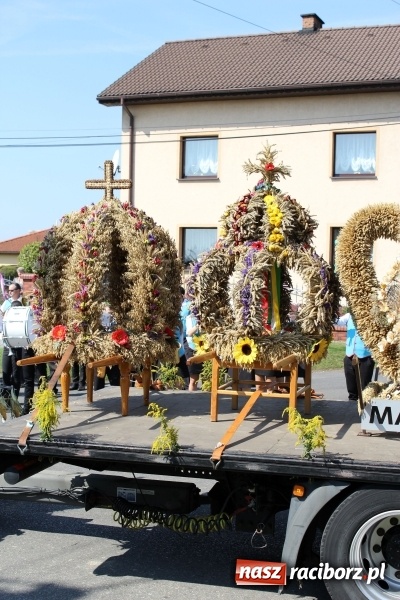 Zdjęcie w galerii na portalu naszraciborz.pl: Dożynki 2016. Korowód gigant w Kornowacu  wiadomości z regionu