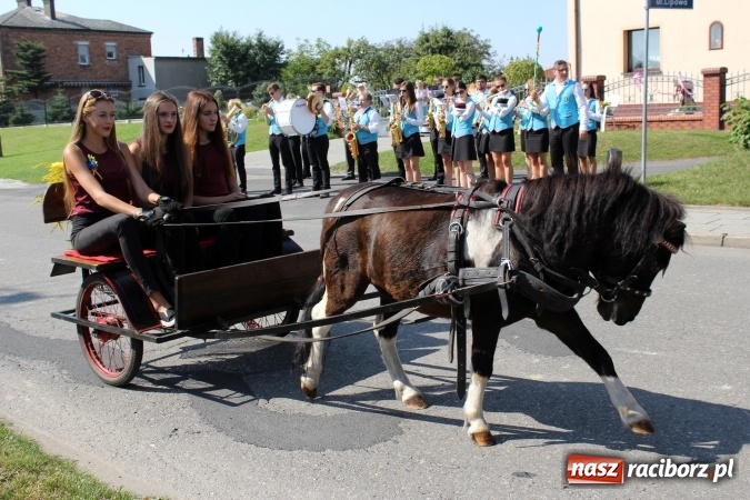 Zdjęcie w galerii na portalu naszraciborz.pl: Dożynki 2016. Korowód gigant w Kornowacu  wiadomości z regionu
