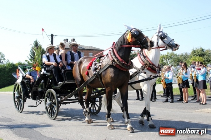 Zdjęcie w galerii na portalu naszraciborz.pl: Dożynki 2016. Korowód gigant w Kornowacu  wiadomości z regionu