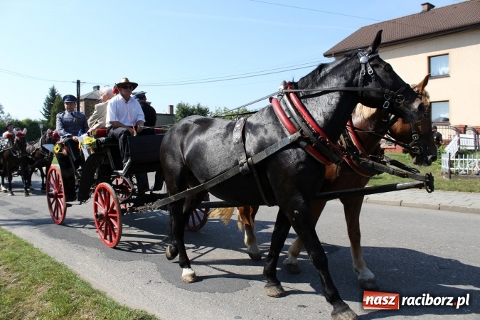 Zdjęcie w galerii na portalu naszraciborz.pl: Dożynki 2016. Korowód gigant w Kornowacu  wiadomości z regionu