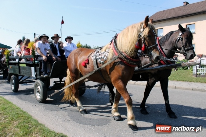Zdjęcie w galerii na portalu naszraciborz.pl: Dożynki 2016. Korowód gigant w Kornowacu  wiadomości z regionu