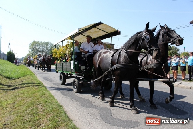 Zdjęcie w galerii na portalu naszraciborz.pl: Dożynki 2016. Korowód gigant w Kornowacu  wiadomości z regionu