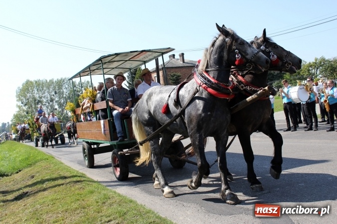 Zdjęcie w galerii na portalu naszraciborz.pl: Dożynki 2016. Korowód gigant w Kornowacu  wiadomości z regionu